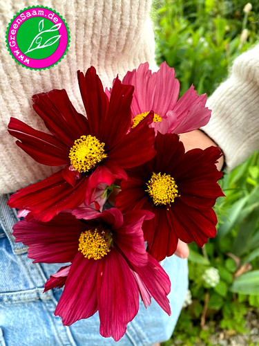 Schmuckkörbchen rubenza - schmuckkörbchen, rubenza🌸