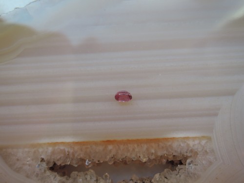 Echter rubin oval - echter,